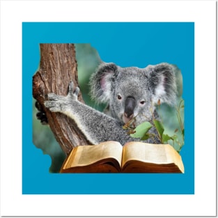 KOALA READING THE BIBLE Posters and Art